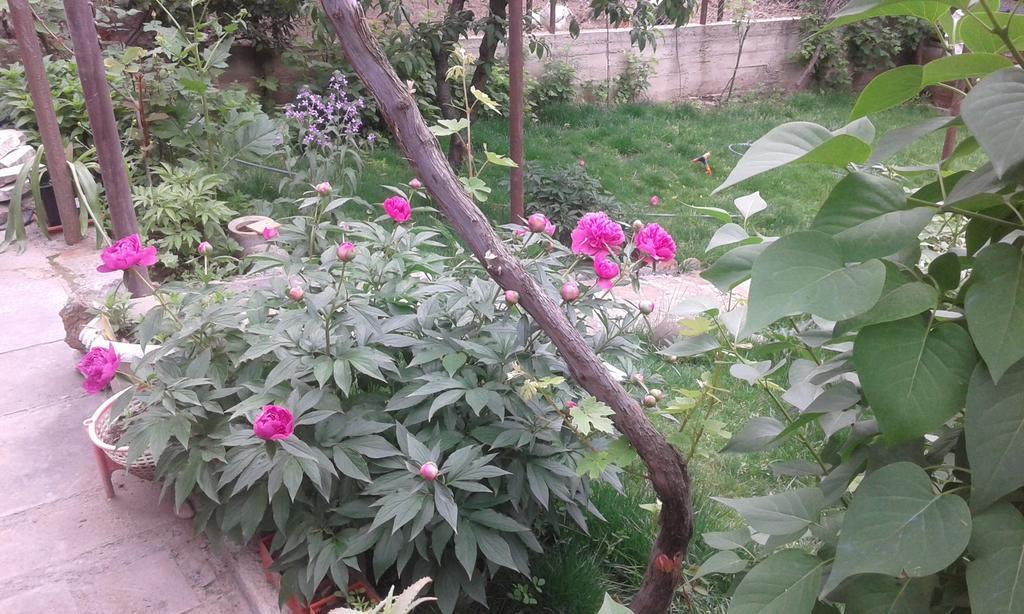 Guest House Ucha Mtsʼkhetʼa Екстериор снимка