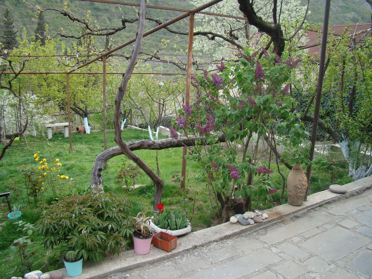 Guest House Ucha Mtsʼkhetʼa Екстериор снимка