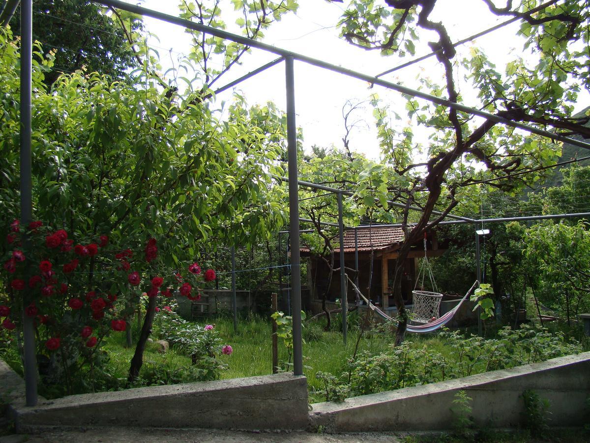 Guest House Ucha Mtsʼkhetʼa Екстериор снимка