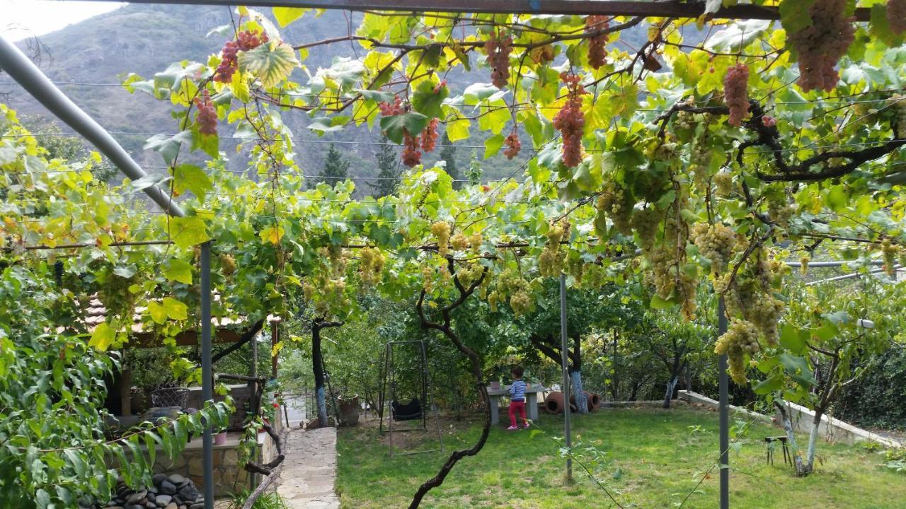 Guest House Ucha Mtsʼkhetʼa Екстериор снимка