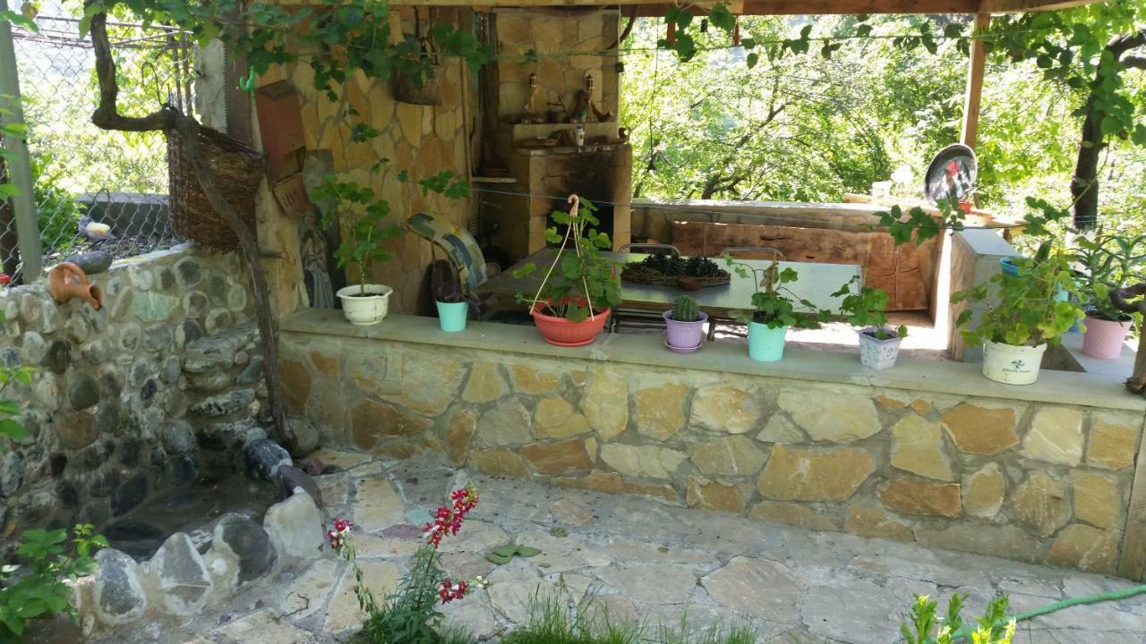 Guest House Ucha Mtsʼkhetʼa Екстериор снимка