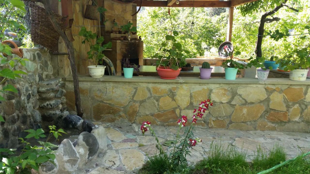 Guest House Ucha Mtsʼkhetʼa Екстериор снимка