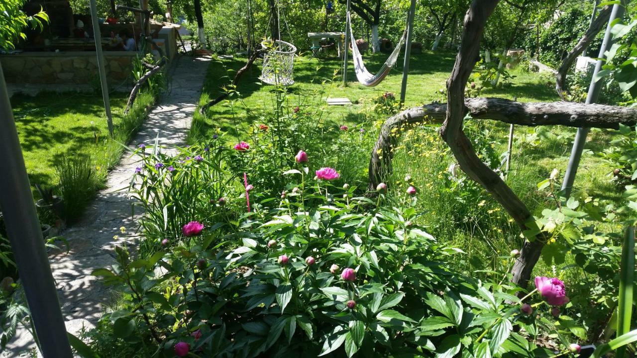 Guest House Ucha Mtsʼkhetʼa Екстериор снимка